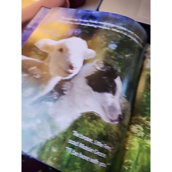 Brave Little Finn by John Churchman and Jennifer Churchman (2016, Picture Book) - Picture 7 of 9